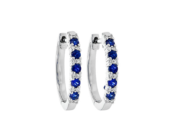 B199-59058: EARR .45 SAPP .55 TGW