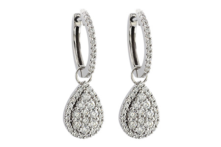 C195-99021: EARR .97 TW