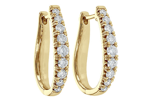 D199-58157: EARR 1.00 TW