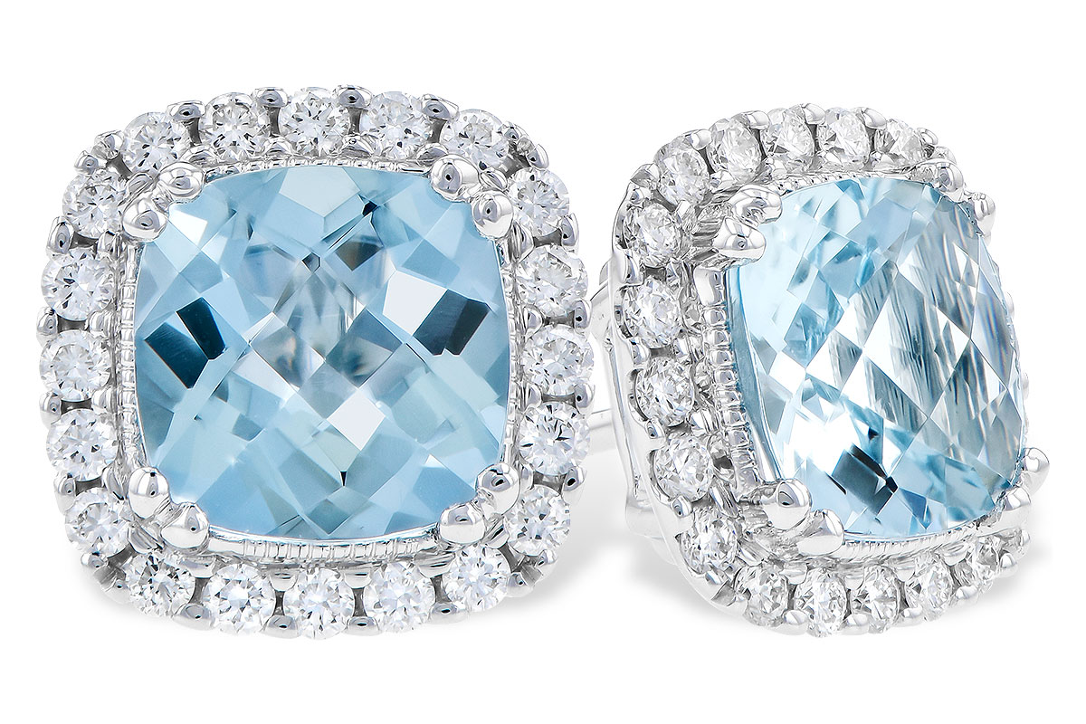 D283-19012: EARR 1.53 AQUA 1.78 TGW (6MM AQUA)