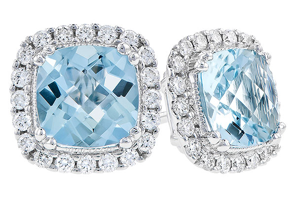 D283-19012: EARR 1.53 AQUA 1.78 TGW (6MM AQUA)