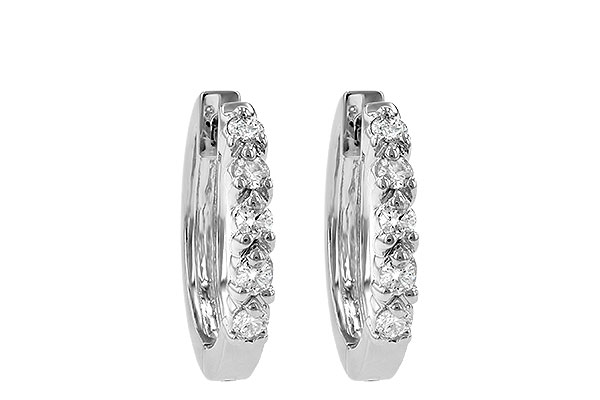 E010-49012: EARRINGS .25 TW