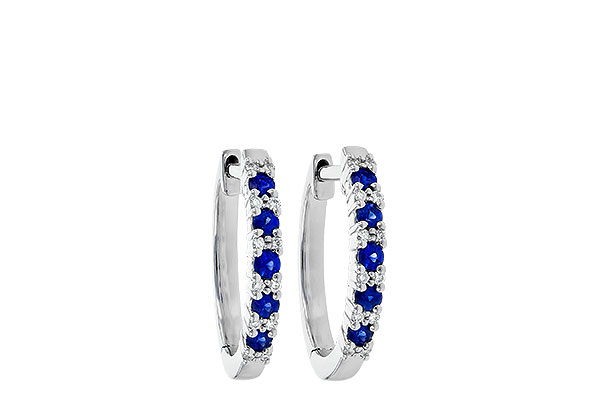 E199-59066: EARR .24 SAPP .30 TGW