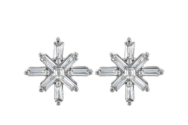 F199-59912: EARR .22 TW BAGUETTES