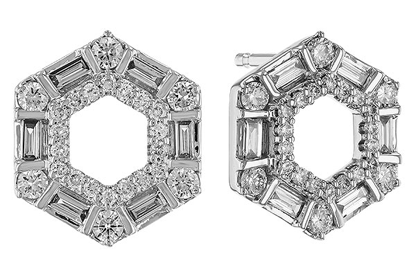 F284-10848: EARR .20 TW BAG .65 TGW