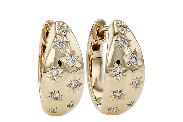 M285-00875: EARRINGS .17 TW